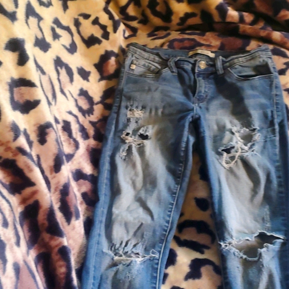 Kancan jeans